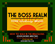 The Boss Realm